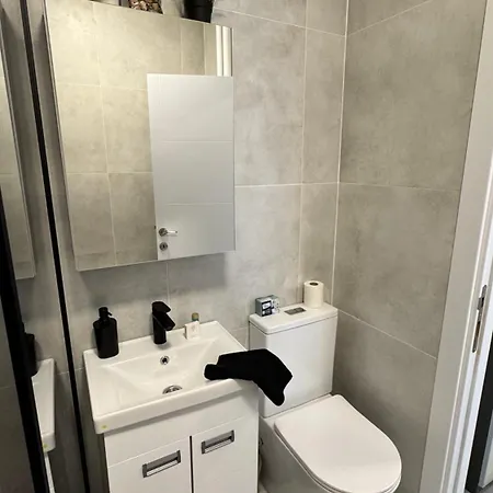 Luni Apartmants Vracar Apartment Belgrade