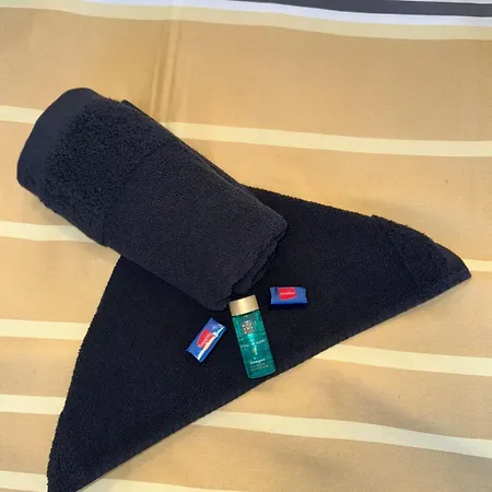 Luni Apartmants Vracar Apartment