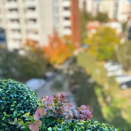 Luni Apartmants Vracar * 贝尔格莱德