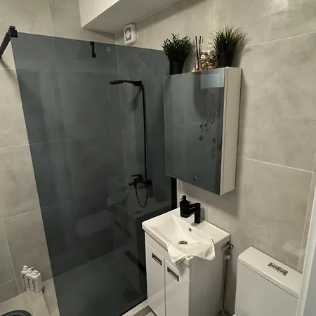 公寓 Luni Apartmants Vracar 贝尔格莱德