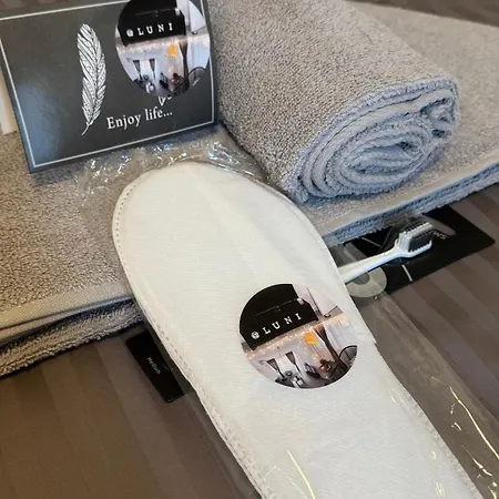 Luni Apartmants Vracar * 贝尔格莱德