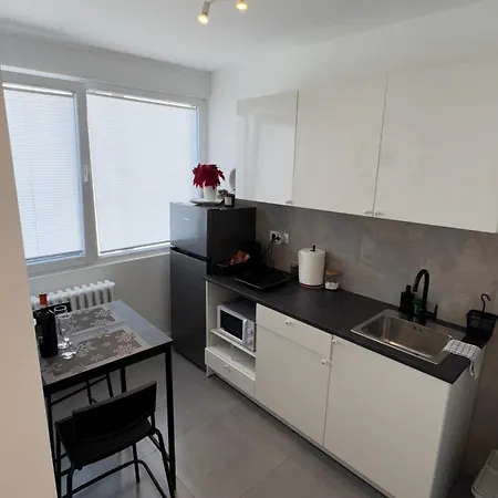 Luni Apartmants Vracar *