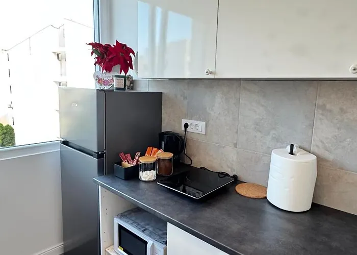 Luni Apartmants Vracar * Bělehrad