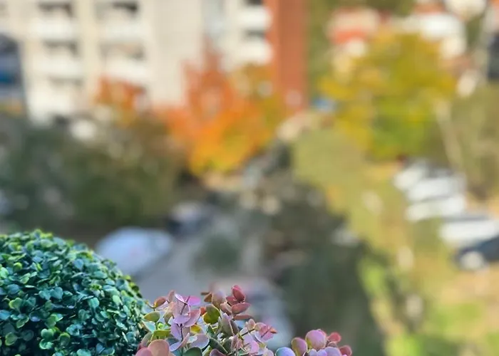 Luni Apartmants Vracar * Bělehrad