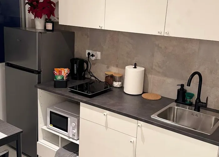 Luni Apartmants Vracar