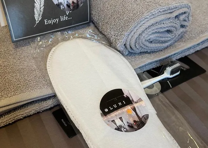 Luni Apartmants Vracar * Bělehrad