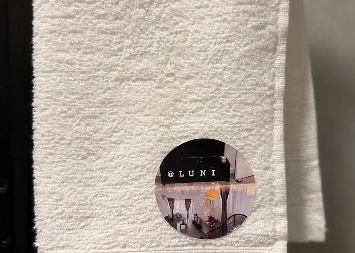 Luni Apartmants Vracar * Bělehrad