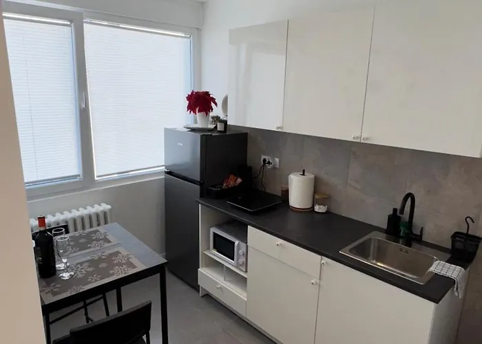 Luni Apartmants Vracar *